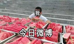 吃瓜网每日大赛 吃瓜爆料短剧吃瓜爆料大赛每日聚集地,揭秘吃瓜爆料短剧，每日热点聚集地